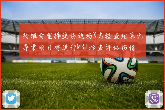 约维奇重摔受伤退场X光检查结果无异常明日将进行MRI检查评估伤情