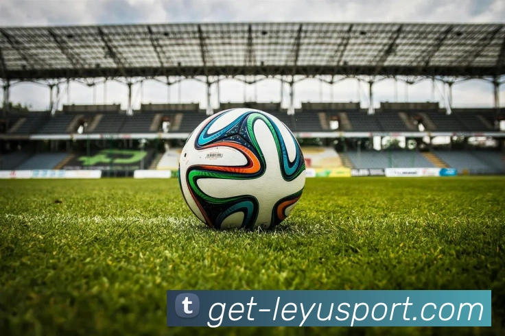 乐鱼体育APP 高清赛事图